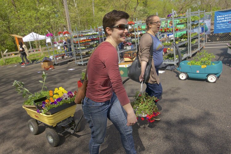 This year, the COVID-19 pandemic is interfering with the 28th annual plant sale, which features the region’s largest selection of hard-to-find native plants, perennials, and annuals.